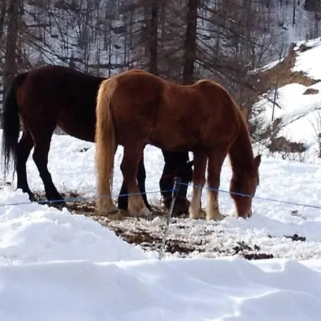 Magnificent Spacious 4 Bedroom Mountain With Villa